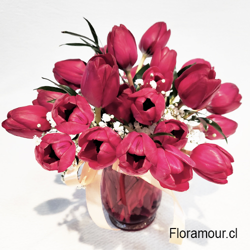 florero de 20 tulipanes
fina selecci&oacute;n de tulipanes&nbsp;
su color puede variar segun la importaci&oacute;n o temporada&nbsp;